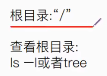 image-20241212124238419