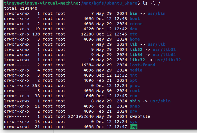 image-20241212130842283