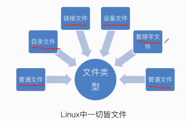 image-20241212131335233