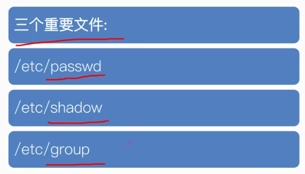 image-20241212131932395