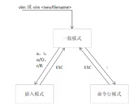 image-20250107214507822